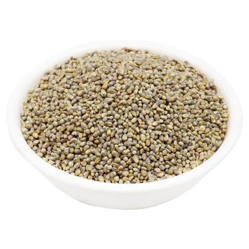 Bajra / Pearl Millet