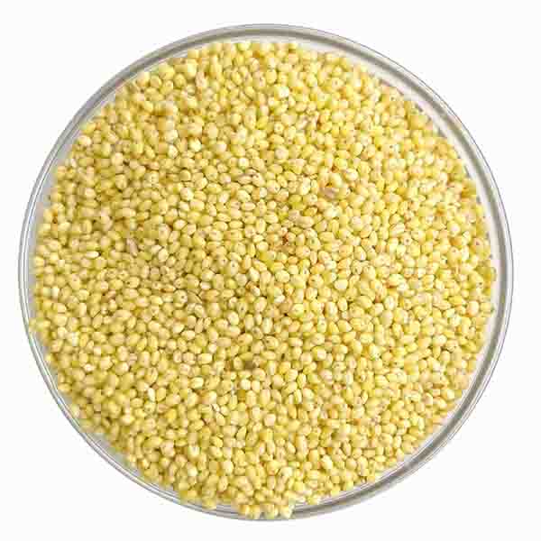 Baragu / Proso Millet