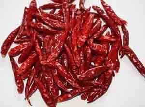 Mankat Chilli