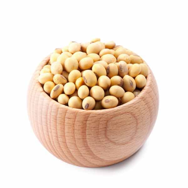 Soya Seeds